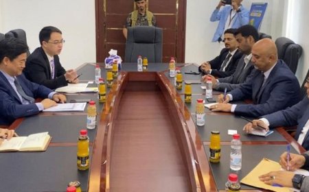 طرموم يبحث مع القائم باعمال السفارة الصينية تعزيز التعاون في قطاع الاتصالات