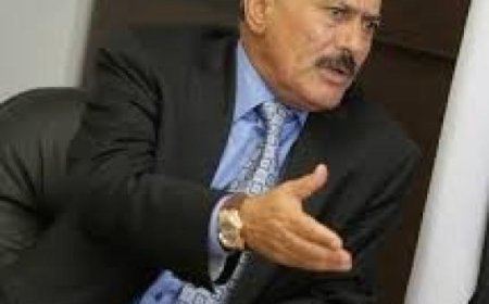 آخرها مزارع العنب.. جماعة الحوثي تنهب آخر ممتلكات الرئيس الأسبق (علي عبدالله صالح) بصنعاء