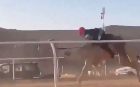 فيديو يوثق لحظة سقوط فتيات مشاركات في سباق كأس العلا للهجن