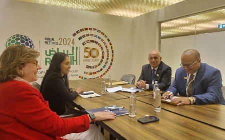 وزير التخطيط يلتقي مسؤولة التمويل المبتكر بمنظمة الشراكة العالمية