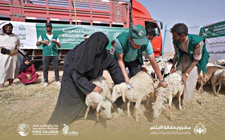 بهدف تمكين الأسر الفاقدة لمعيلها اقتصاديا.. مركز الملك سلمان يقدم مواشي لـ50 أسرة نازحة بمحافظة الجوف