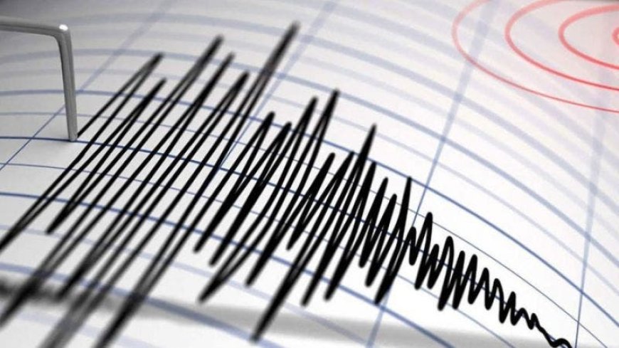 زلزال بقوة 4.8 درجات يضرب نيويورك الأمريكية
