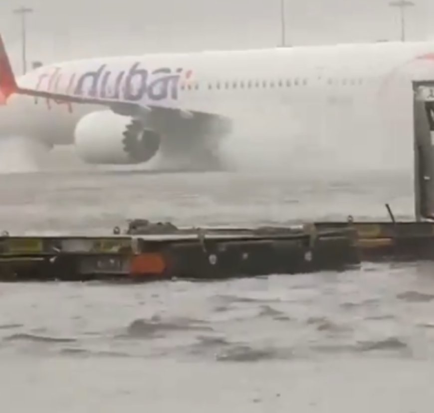 فيديو مرعب من مطار دبي