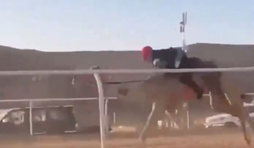 فيديو يوثق لحظة سقوط فتيات مشاركات في سباق كأس العلا للهجن