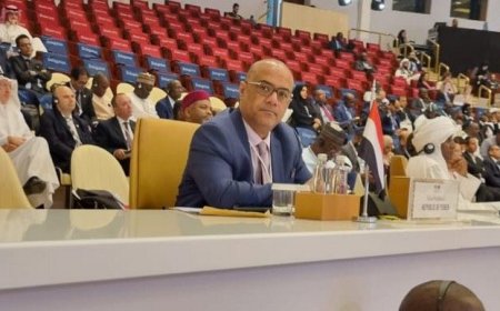 وزير التخطيط يشارك باجتماع الطاولة المستديرة للبنك الاسلامي لتنمية بالرياض