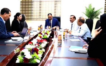 رئيس مصلحة الجمارك يناقش مع فريق دولي مستوى الاستفادة من الدعم الفني الأوروبي