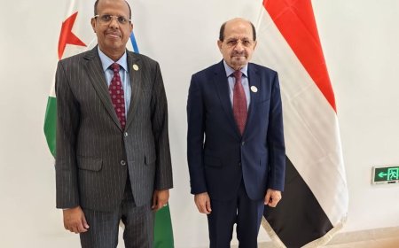 الزنداني يستعرض مع وزير الشؤون الخارجية الجيبوتي مستجدات الأوضاع في اليمن