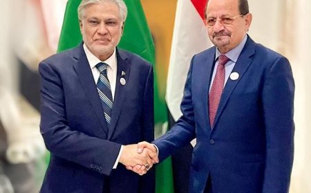 وزير الخارجية وشؤون المغتربين يلتقي نائب رئيس الوزراء وزير خارجية باكستان