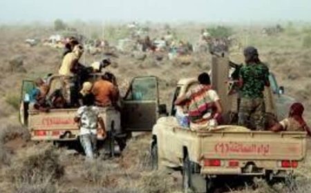 الفرقة الخامسة عمالقة. صمام أمان لشبوة من الفوضى والروافض