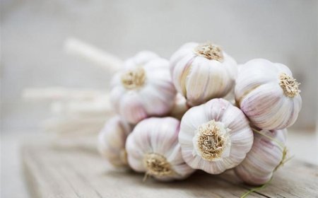 مفاجأة.. لن تتخيل ما يفعله تناول فص من الثوم يوميا بجسمك