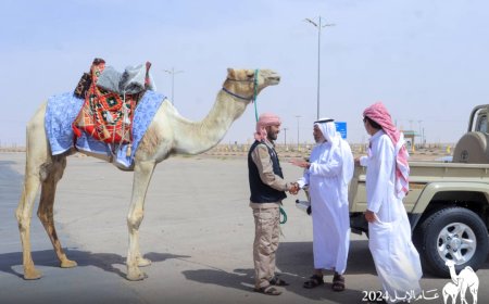 الرحالة اليمني الدهمي يناشد السلطات السعودية منحة ترخيص لاستئناف رحلته إلى مكة المكرمة