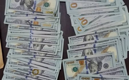دولارات مزورة تغزو محافظة المهرة.. والاجهزة الامنية تعلق