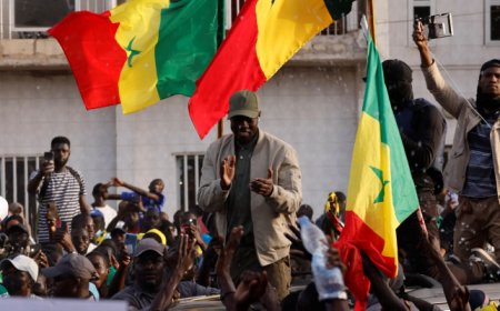 هل اعتمدت السنغال العربية لغة رسمية للبلاد؟