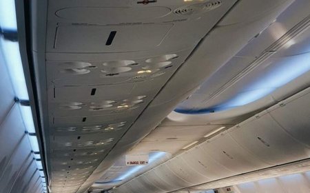 قررت أن تنام على متن الطائرة... لن تصدقوا أين عثروا عليها! (فيديو)