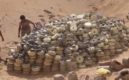 انتزاع 719 لغماً في اليمن خلال أسبوع