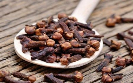 ماذا يحدث لجسمك عند تناول القرنفل على الريق؟.. لن تصدق فوائده