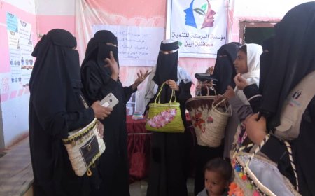 (القرية النظيفة).. قصة مرئية تكتشف تجربة قرية الكود البيئية في أبين