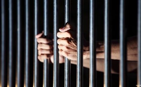 "الأمريكي للعدالة" يدعو لوقف التحريض ضد الصحفيين وضمان حرية الرأي والتعبير