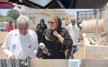 إعلام الصحة ومستشفى الصداقة بعدن يستقبلان الوفد الإعلامي الهولندي في إذاعة وتلفزيون (NOS)