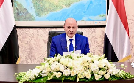 الرئيس العليمي يكشف عن موقفه تجاه القضية الجنوبية