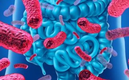 كيف يرتبط القلق بصحة الأمعاء؟