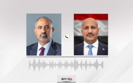 الكشف عن اتصال دار بين طارق صالح واللواء عيدروس الزبيدي