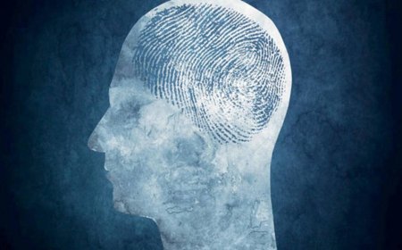 الذكاء الاصطناعي يجد اختلافات «مذهلة» بين أدمغة الذكور والإناث