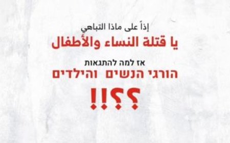 فيديو..القسام ترد على تباهي "اللواء401" الإسرائيلي بطريقتها