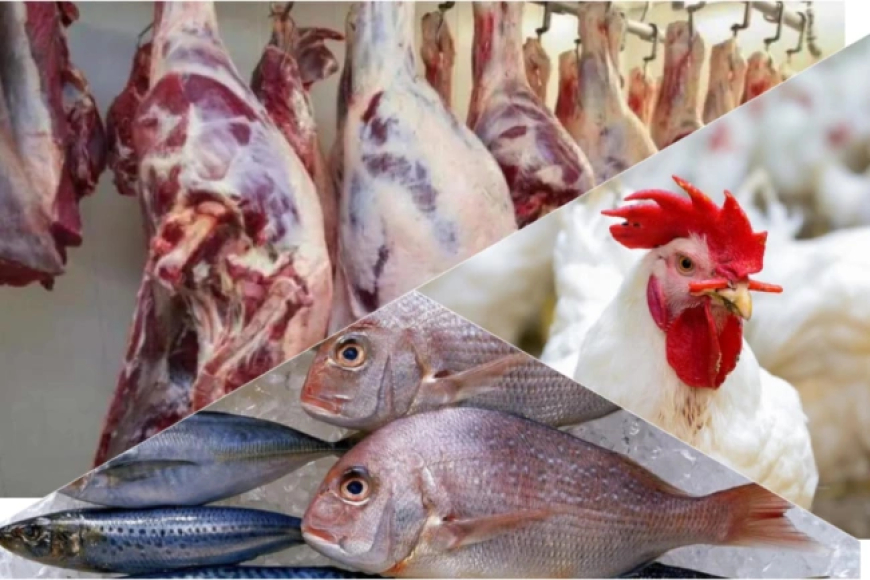تعرف على أسعار اللحوم والأسماك في العاصمة المؤقتة عدن