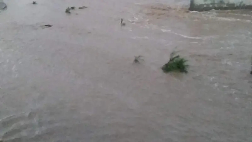 وفاة وإصابة 40 شخصاً بسبب الأمطار والسيول في المهرة