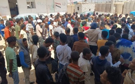 ضبط 306 مهاجراً أفريقياً دخلوا البلاد بطريقة غير شرعية