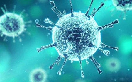 أنواع سرطانات يُمكن أن تنتقل وراثيًا.. ما هى؟