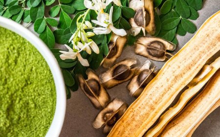 عشبة تعالج 40 مرضًا وتسيطر على مستوى السكر وتقوي الذاكرة وتحمي من الزهايمر إكشتفوا ما هي!