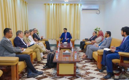 رئيس هيئة التشاور والمصالحة يستقبل رئيس بعثة الاتحاد الأوروبي وسفراء فرنسا وألمانيا وهولندا