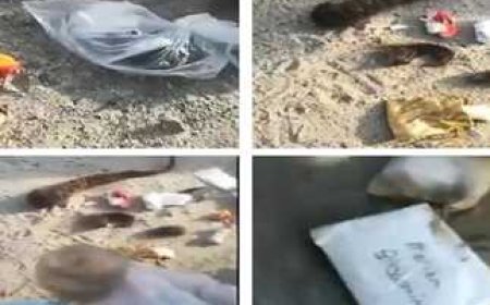 «أعمال سحر في جبل عرفات بعد انتهاء موسم الحج 1445».. ما الحقيقة؟