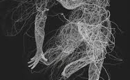 بجريمة "مروعة".. قاومت الاغتصاب فقطعها إلى أشلاء