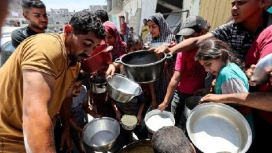 شمال غزة يموت جوعاً يتصدر "إكس" وتفاعل كبير جدًا