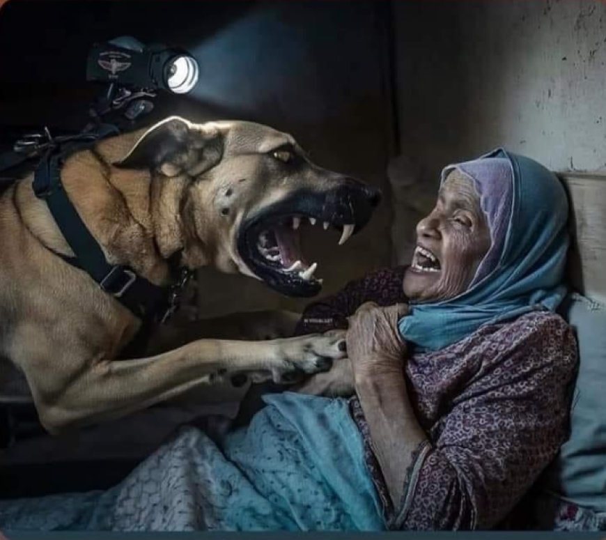 كلب إسرائيلي ينهش جسد عجوز في غزة