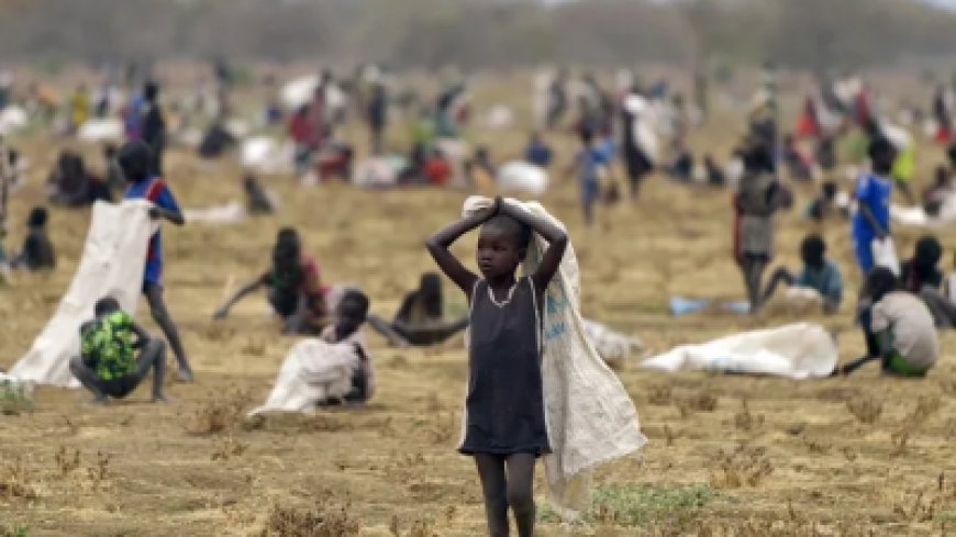 الإنقاذ الدولية: 3 ملايين سوداني يواجهون خطر الموت بسبب الجوع