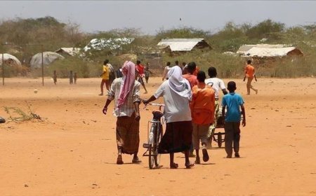 خلال أسبوع.. تقرير أممي يسجل 260 حالة نزوح
