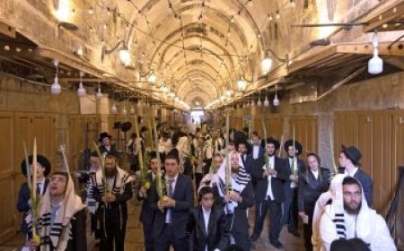 بهدف منع إقامة الدولة الفلسطينية: بناء 5 آلاف وحدة استيطان جديدة