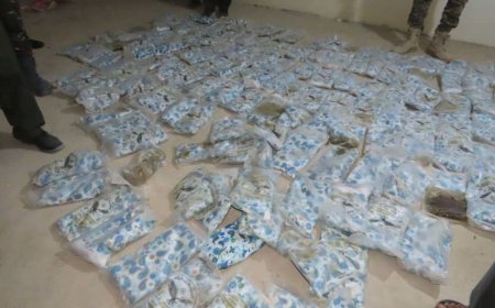 أمن مأرب يضبط شحنة حشيش أثناء محاولة تهريبها إلى مناطق سيطرة الحوثي