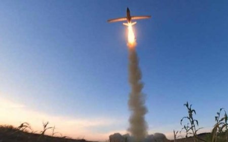 الحوثيون يعلنون استهداف سفينة تجارية في البحر الأحمر ومضيق باب المندب