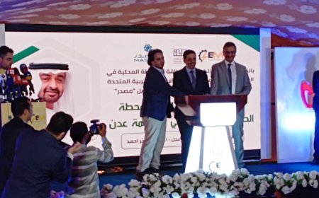 عدن تشهد الدخول الكلي لمحطة الطاقة الشمسية بقوة 120 ميجا الممولة إماراتياً