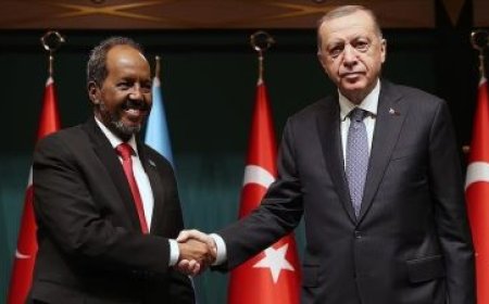 تركيا بصدد إرسال قوات إلى الصومال لغايات دفاعية واقتصادية