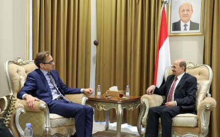 الوزير الزنداني يبحث مع مسؤول في الخارجية الألمانية الجهود المبذولة لإحلال السلام