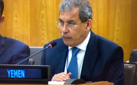 الحكومة اليمنية تؤكد اهمية تنفيذ قرارات الشرعية الدولية من أجل الأمن والسلم الدوليين