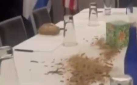 نشطاء أمريكيون يفسدون إقامة"نتنياهو" بالحشرات والزواحف