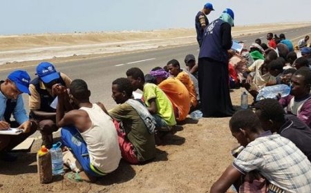 الهجرة الدولية: عودة 1,027 أفريقيًا من اليمن إلى بلدانهم في يونيو الماضي