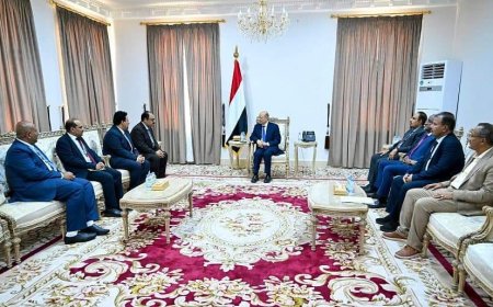 رئيس مجلس القيادة يلتقي وفد الامم المتحدة لخدمات المشاريع